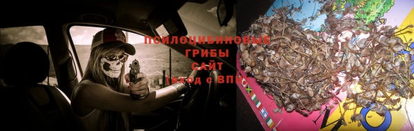 ГАЛЛЮЦИНОГЕННЫЕ ГРИБЫ Балабаново