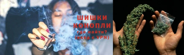 ГАЛЛЮЦИНОГЕННЫЕ ГРИБЫ Балабаново