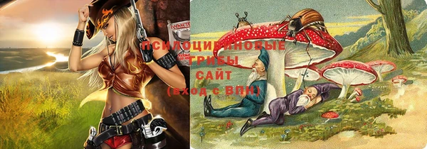 ГАЛЛЮЦИНОГЕННЫЕ ГРИБЫ Балабаново