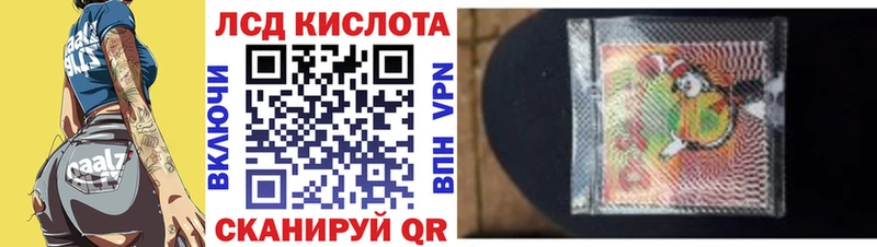 где найти   Пойковский  kraken ТОР  Марки N-bome 1,5мг 