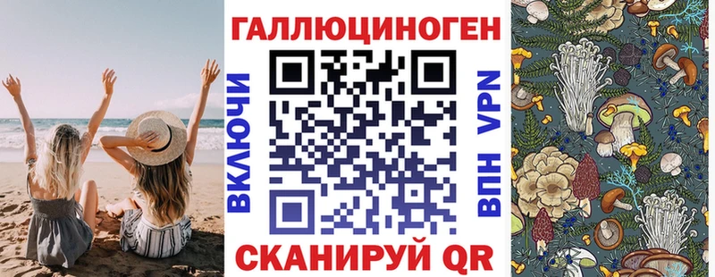 Псилоцибиновые грибы GOLDEN TEACHER  купить наркотики сайты  Пойковский 